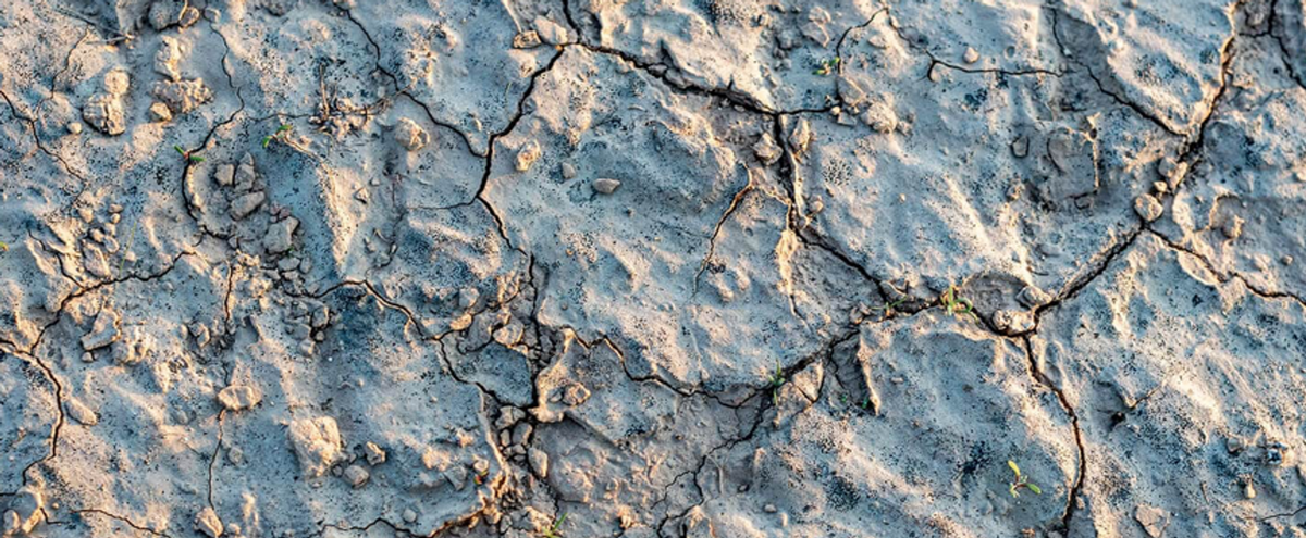 En hiver, nos cellules cutanées « rétréciraient » : comment obtenir des cellules robustes ?