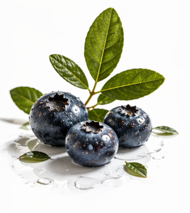 Bleuet sauvage