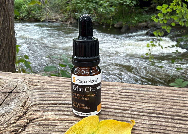 Éclat Citrouille 10 ml